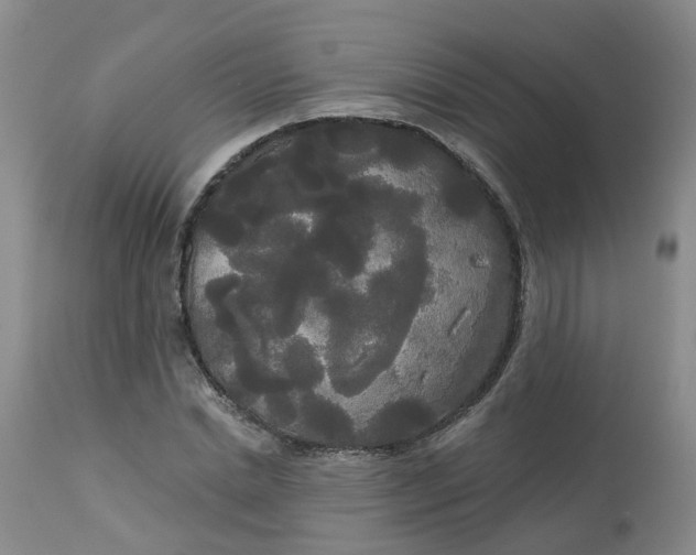 X0000113080830200909111001