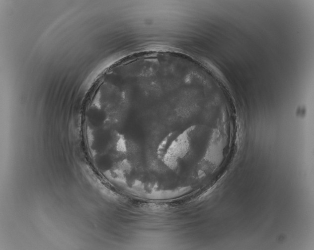 X0000113080831200909111001