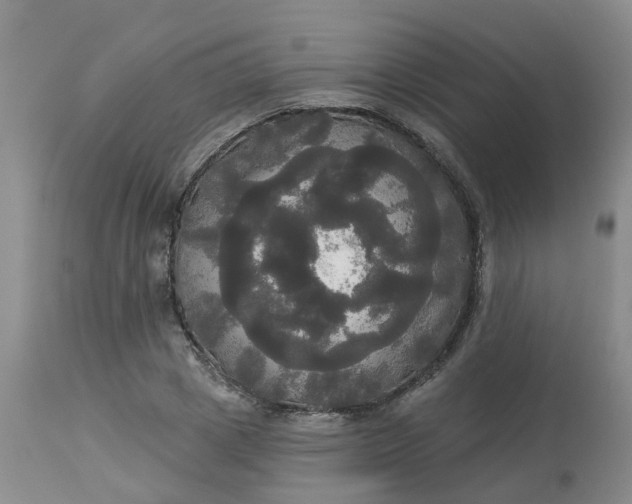 X0000113080833200909111001