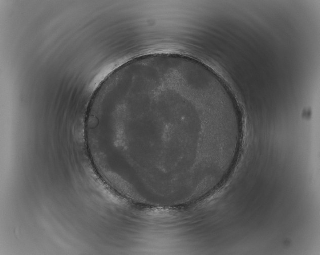 X0000113080834200909111001