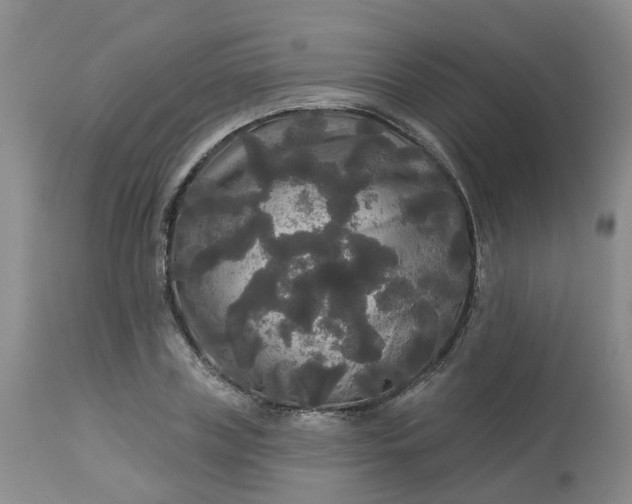 X0000113080835200909111001