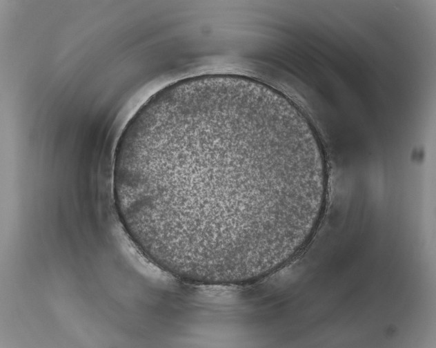 X0000113080836200909111001