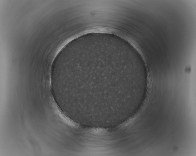 X0000113080837200909111001