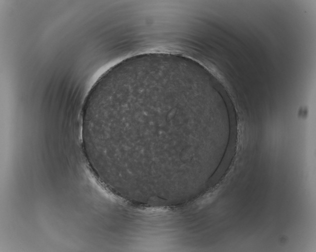 X0000113080838200909111001