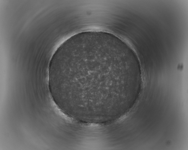 X0000113080839200909111001