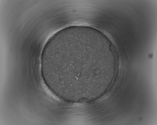 X0000113080840200909111001