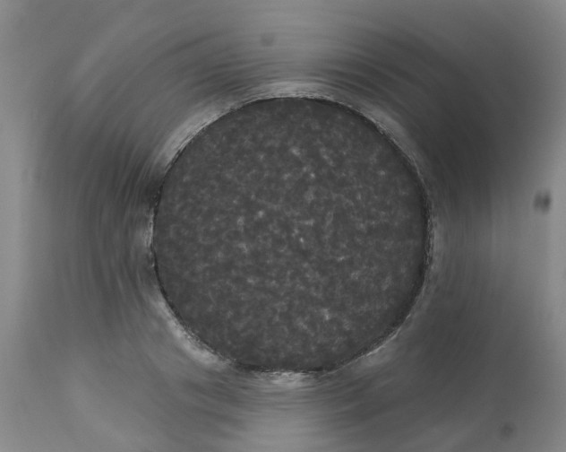 X0000113080841200909111001