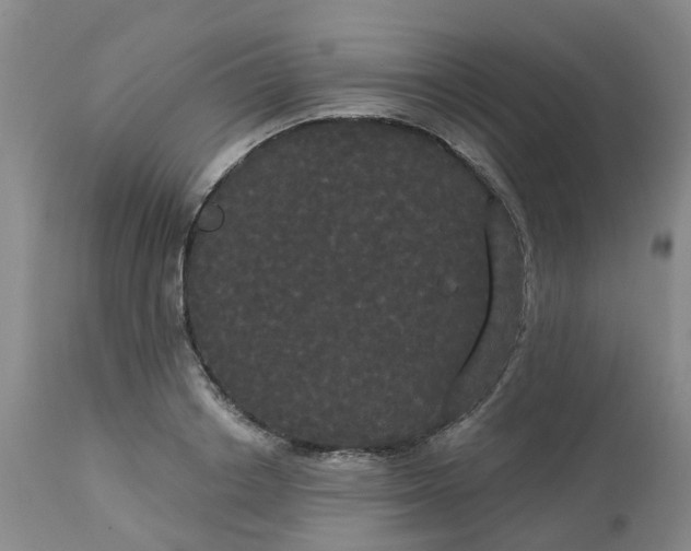 X0000113080842200909111001