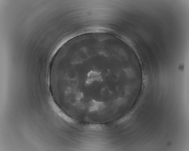 X0000113080843200909111001