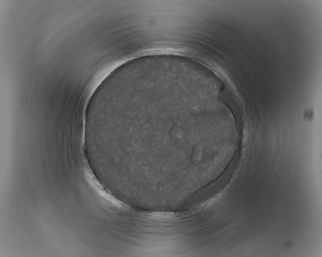 X0000113080844200909111001