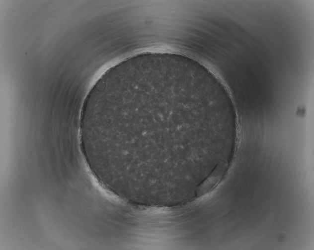 X0000113080845200909111001