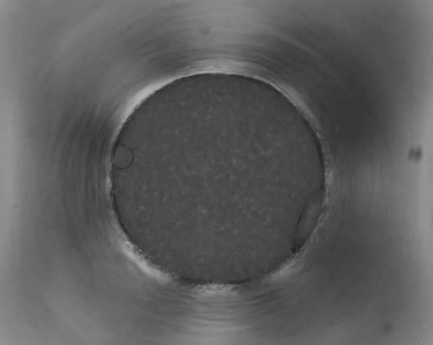 X0000113080846200909111001