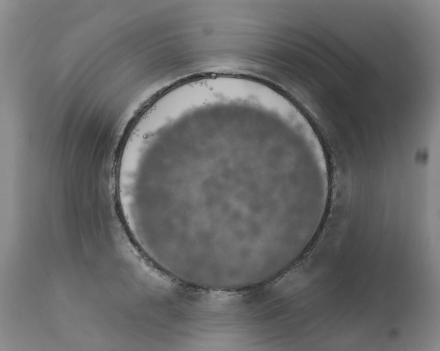 X0000113080848200909111001