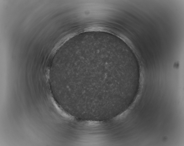 X0000113080849200909111001