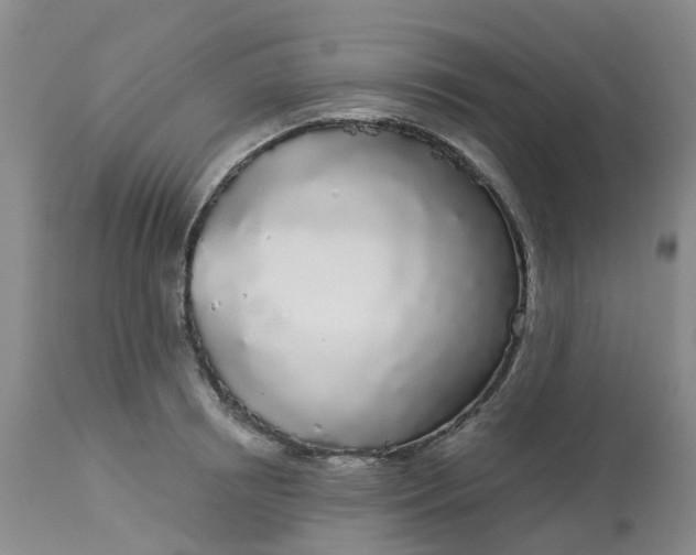 X0000113080850200909111001