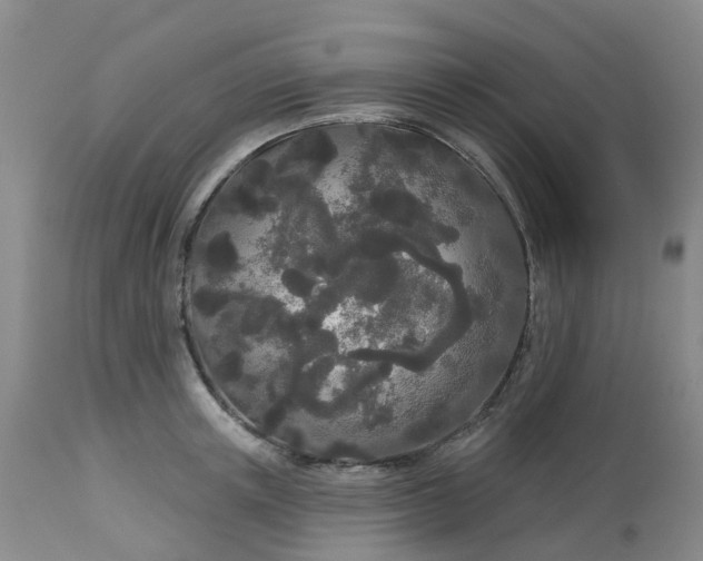 X0000113080851200909111001