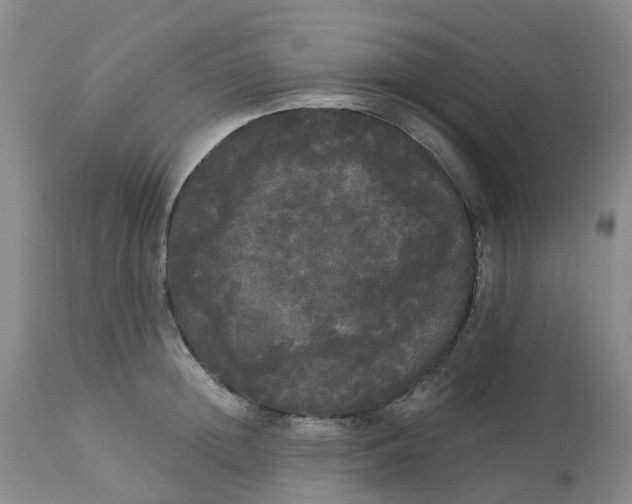 X0000113080852200909111001