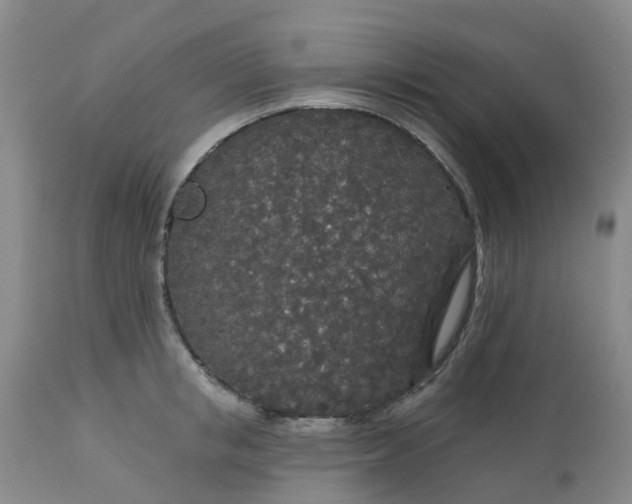 X0000113080853200909111001