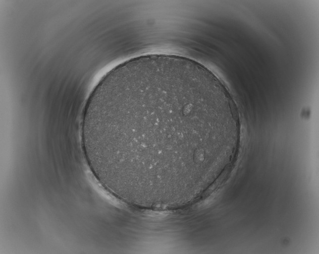 X0000113080854200909111002