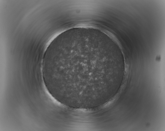 X0000113080855200909111002