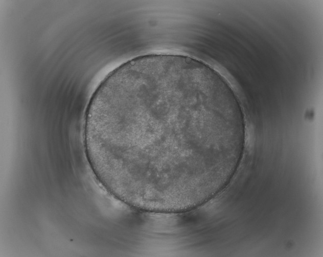 X0000113080856200909111002