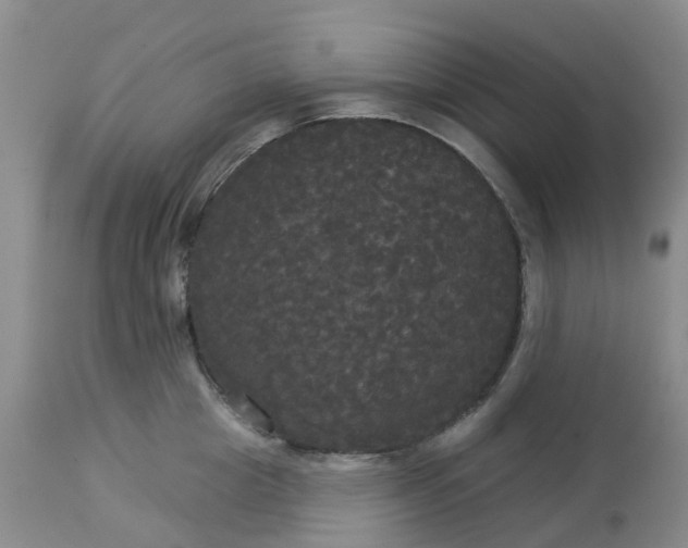 X0000113080857200909111002