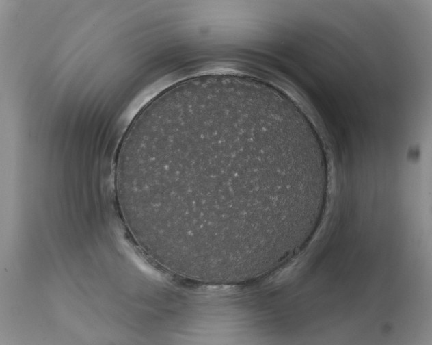 X0000113080858200909111002