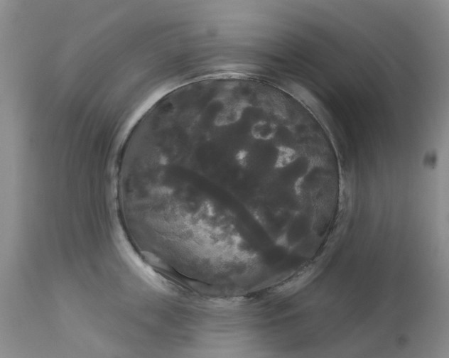 X0000113080859200909111002