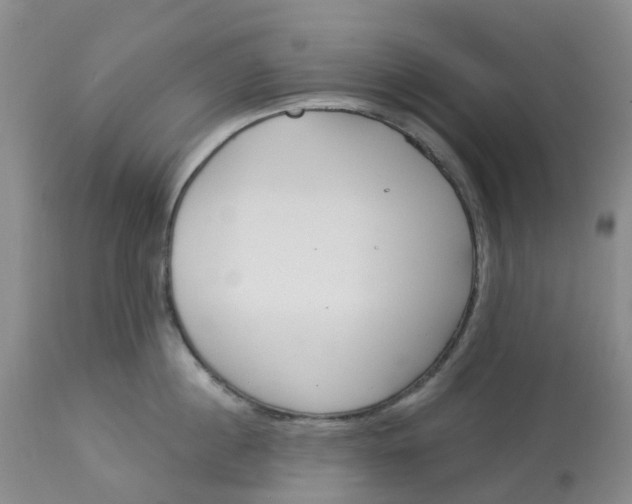 X0000113080860200909111002