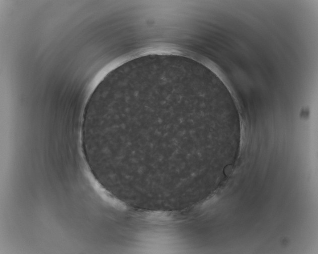 X0000113080861200909111002