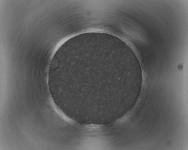 X0000113080862200909111002