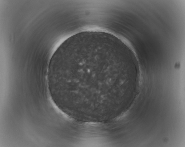 X0000113080863200909111002