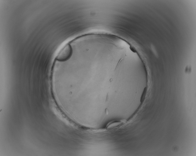 X0000113080864200909111002