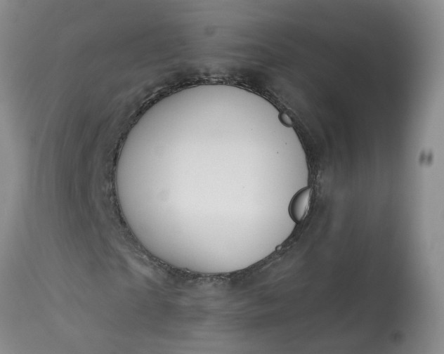 X0000113080865200909111001