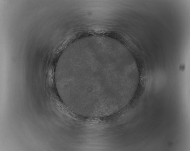 X0000113080866200909111001