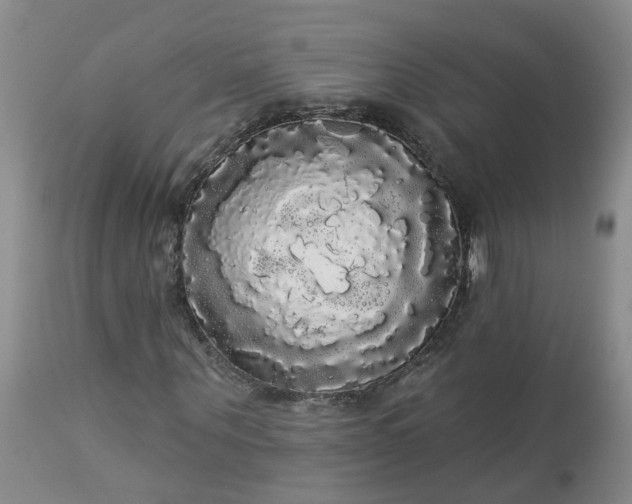 X0000113080867200909111001