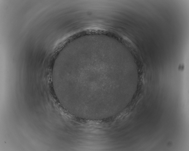 X0000113080870200909111001