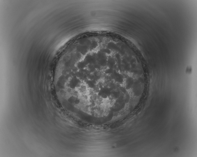 X0000113080871200909111001