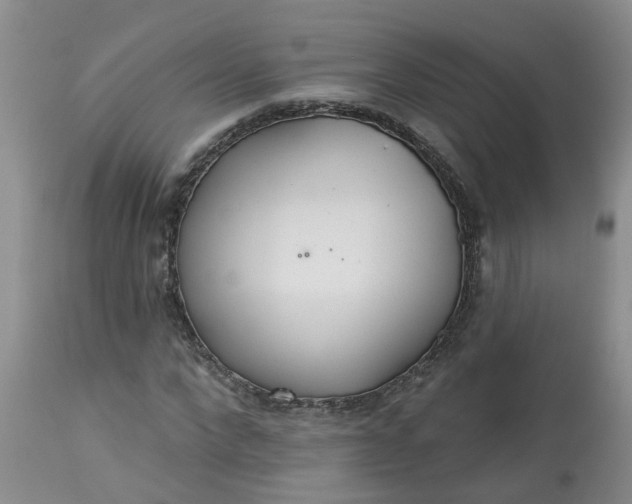 X0000113080872200909111001