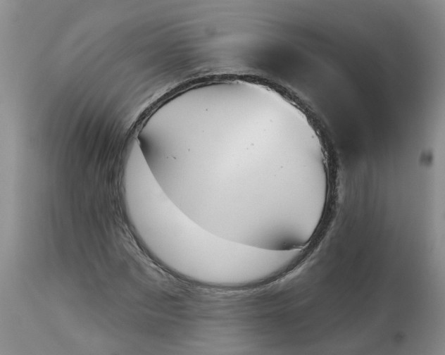 X0000113080873200909111001