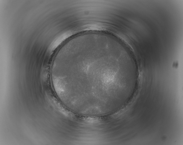 X0000113080874200909111001