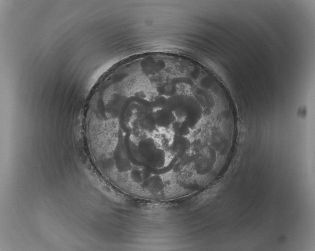 X0000113080875200909111001