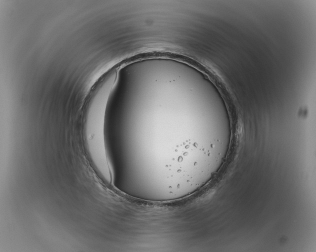 X0000113080877200909111001