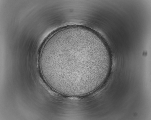 X0000113080878200909111001