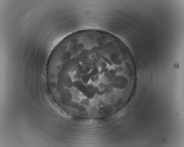 X0000113080879200909111001