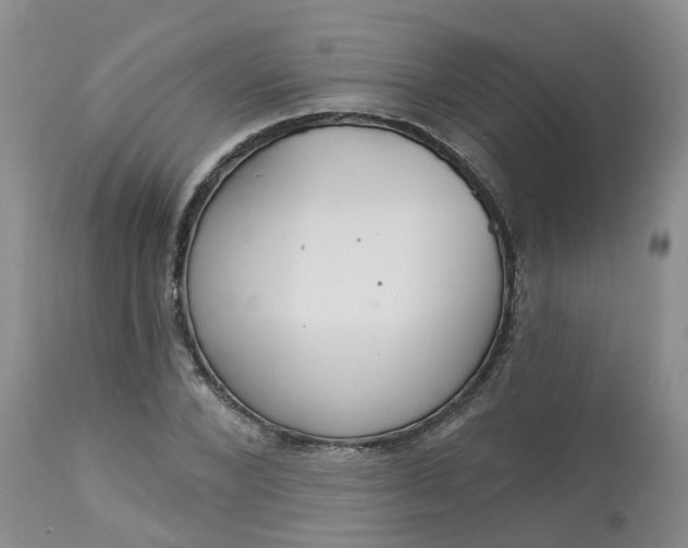 X0000113080880200909111001