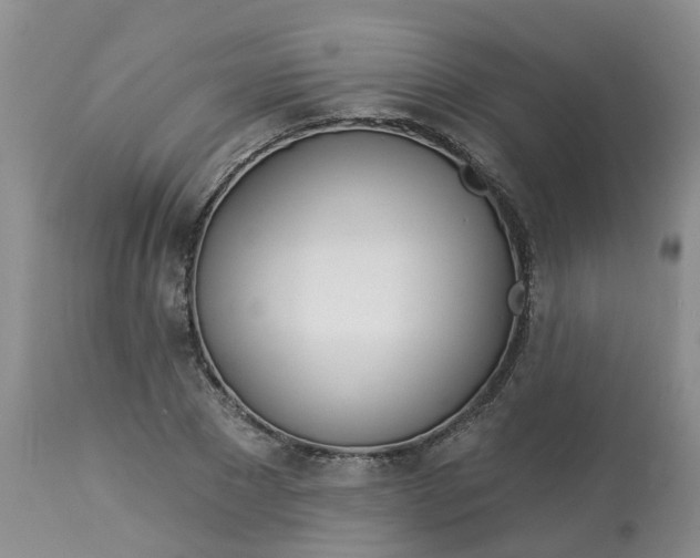 X0000113080881200909111001