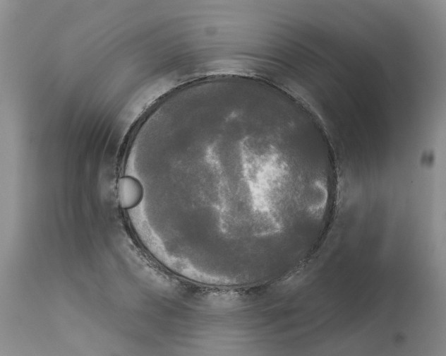 X0000113080882200909111001