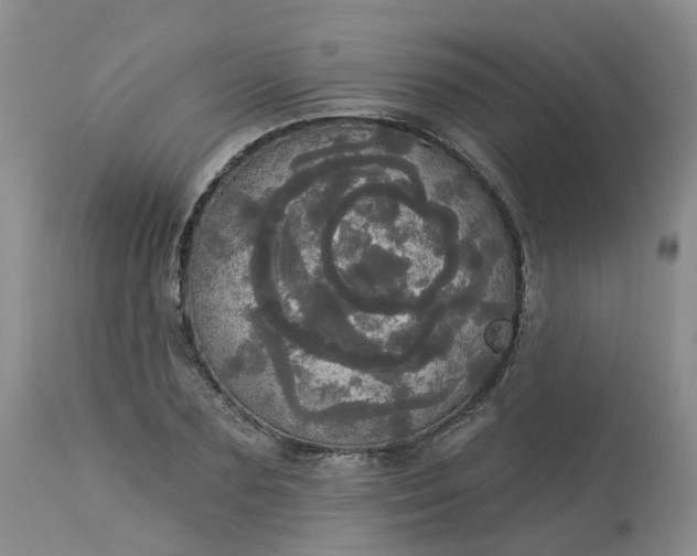 X0000113080883200909111001