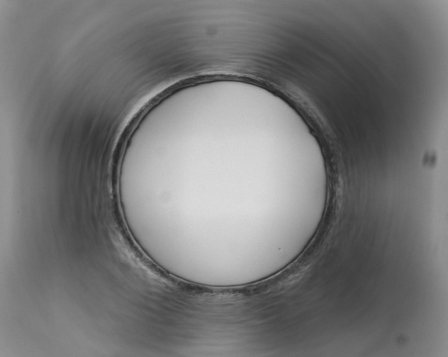 X0000113080884200909111001